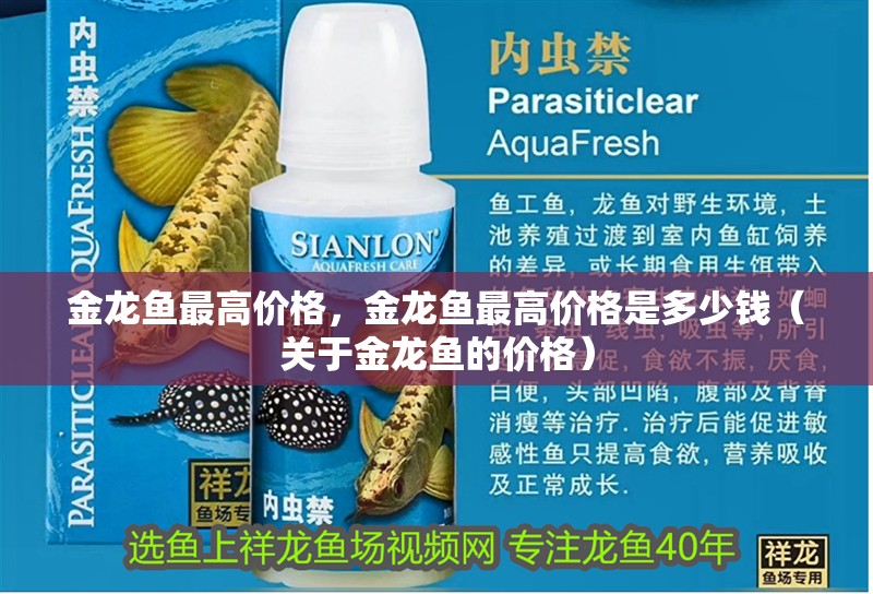 魚缸用增氧泵價格是多少:魚缸增氧機-xtrac增氧機-xtrac增氧機 金龍魚最高價格,金龍魚最高價格是多少錢(關于金龍魚的價格) 觀賞魚百科 金龍魚最高價格,金龍魚最高價格是多少錢(關于金龍魚的價格) 金龍魚最高價格,金龍魚最高價格是多少錢(關于金龍魚的價格) 觀賞魚百科