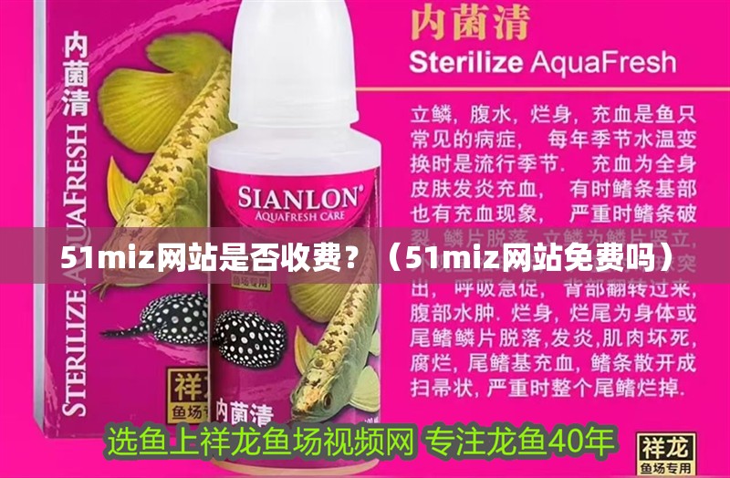 51miz網(wǎng)站是否收費？（51miz網(wǎng)站免費嗎）