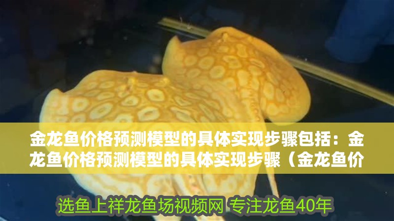 金龍魚價格預測模型的具體實現(xiàn)步驟包括：金龍魚價格預測模型的具體實現(xiàn)步驟（金龍魚價格預測模型的具體實現(xiàn)步驟）