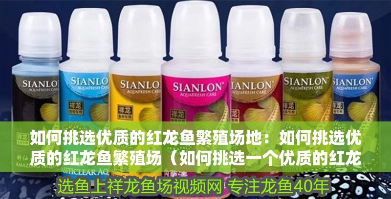 如何挑選優(yōu)質(zhì)的紅龍魚繁殖場(chǎng)地：如何挑選優(yōu)質(zhì)的紅龍魚繁殖場(chǎng)（如何挑選一個(gè)優(yōu)質(zhì)的紅龍魚繁殖場(chǎng)）