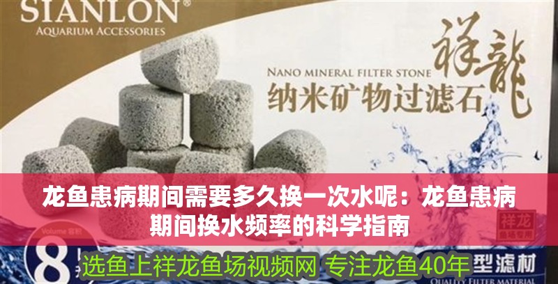 龍魚患病期間需要多久換一次水呢：龍魚患病期間換水頻率的科學指南