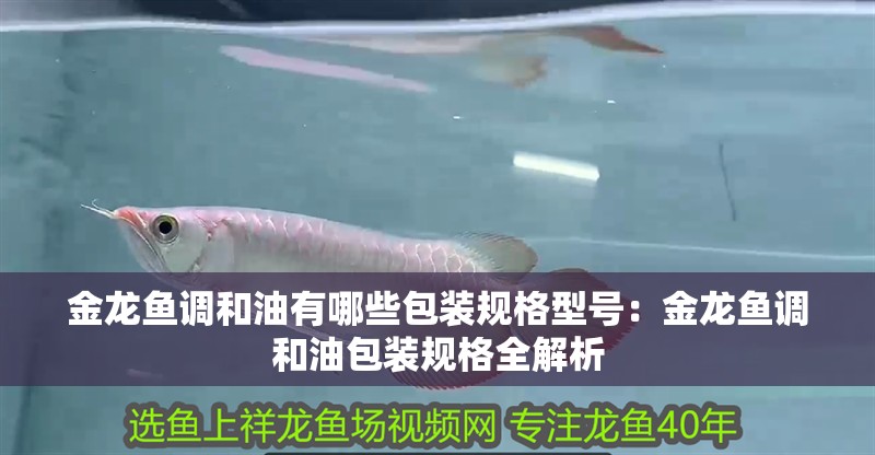 金龍魚調和油有哪些包裝規格型號：金龍魚調和油包裝規格全解析