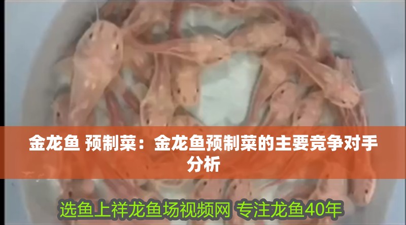 金龍魚 預(yù)制菜：金龍魚預(yù)制菜的主要競(jìng)爭(zhēng)對(duì)手分析