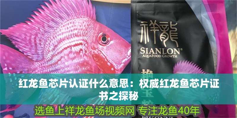 紅龍魚芯片認證什么意思：權威紅龍魚芯片證書之探秘