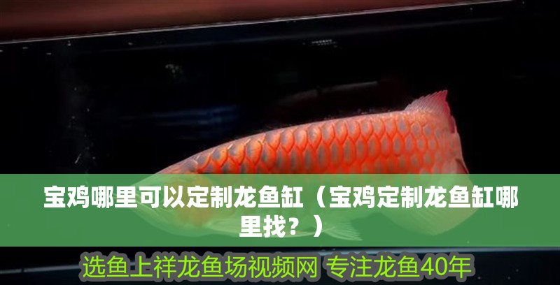 寶雞哪里可以定制龍魚缸（寶雞定制龍魚缸哪里找？）