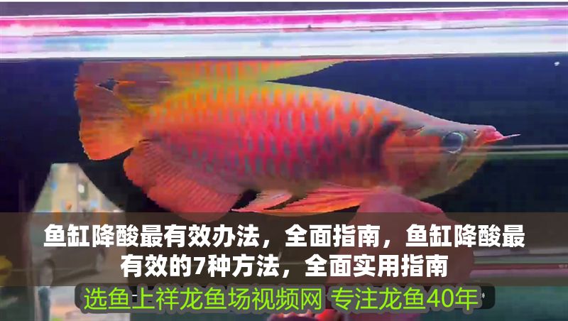 魚缸降酸最有效辦法，全面指南，魚缸降酸最有效的7種方法，全面實用指南