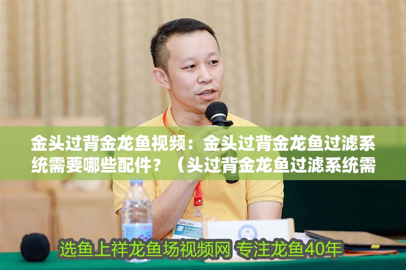 金頭過背金龍魚視頻：金頭過背金龍魚過濾系統需要哪些配件？（頭過背金龍魚過濾系統需要哪些配件，金龍魚過濾系統需要哪些配件）