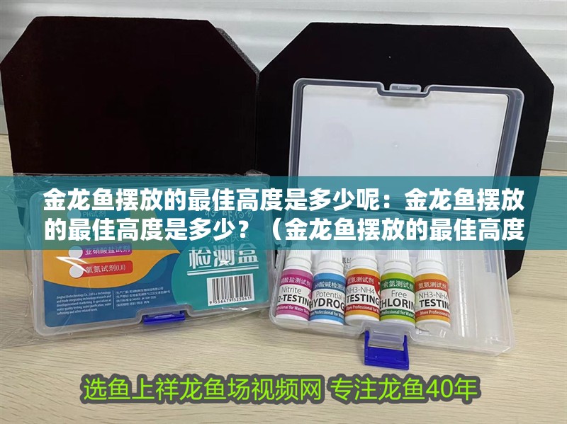 金龍魚擺放的最佳高度是多少呢：金龍魚擺放的最佳高度是多少？（金龍魚擺放的最佳高度，金龍魚擺放的最佳高度應注意什么） 金龍魚擺放的最佳高度是多少呢：金龍魚擺放的最佳高度是多少？（金龍魚擺放的最佳高度，金龍魚擺放的最佳高度應注意什么） 水族問答