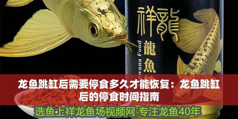 龍魚跳缸后需要停食多久才能恢復：龍魚跳缸后的停食時間指南