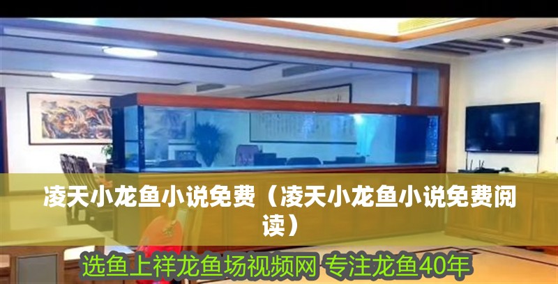 凌天小龍魚小說免費(fèi)（凌天小龍魚小說免費(fèi)閱讀）