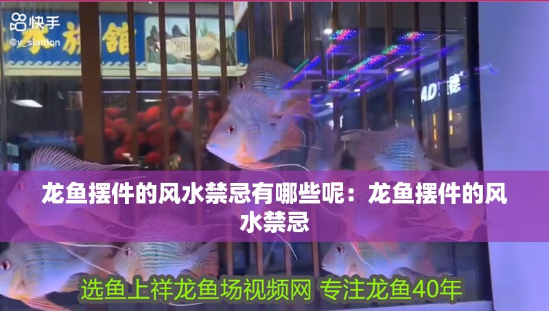 龍魚擺件的風水禁忌有哪些呢：龍魚擺件的風水禁忌