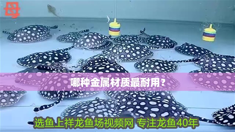 哪種金屬材質最耐用？