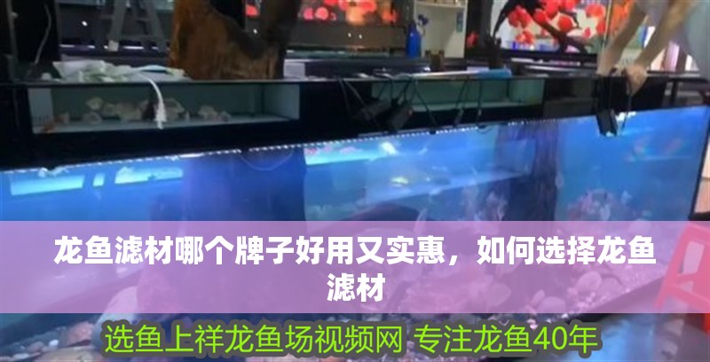 龍魚濾材哪個牌子好用又實惠，如何選擇龍魚濾材