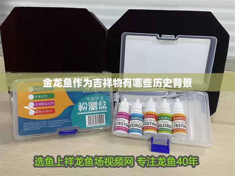 金龍魚作為吉祥物有哪些歷史背景