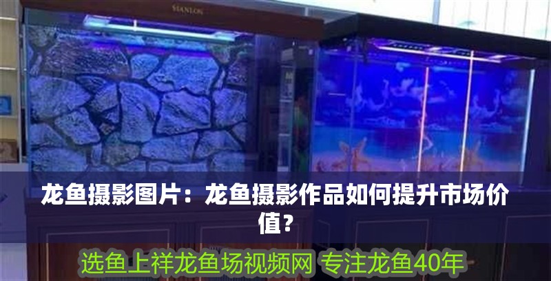 龍魚攝影圖片：龍魚攝影作品如何提升市場價值？