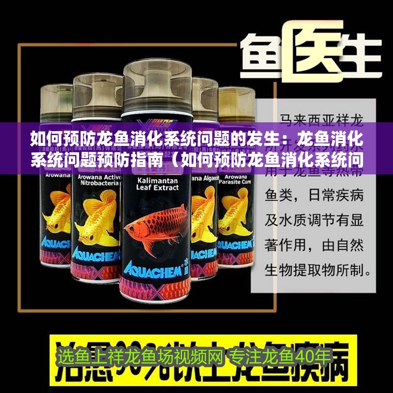 如何預防龍魚消化系統問題的發生：龍魚消化系統問題預防指南（如何預防龍魚消化系統問題）