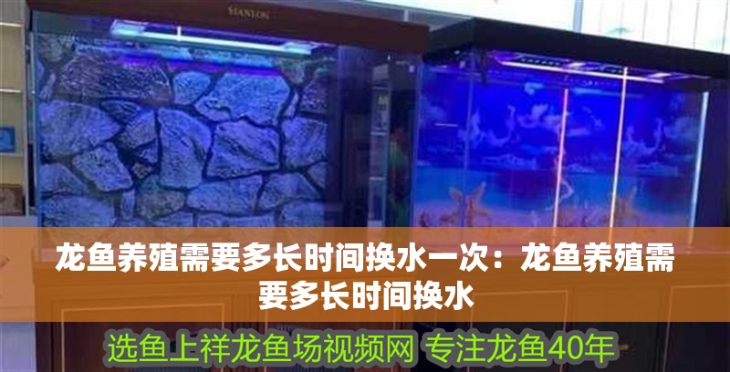 龍魚養殖需要多長時間換水一次：龍魚養殖需要多長時間換水