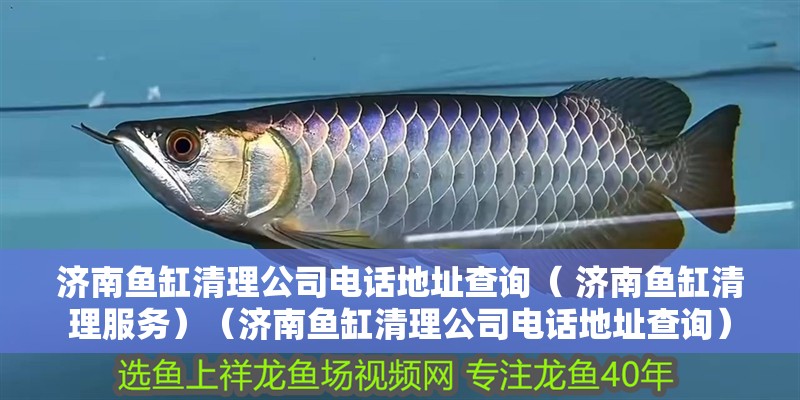 魚缸用增氧泵價(jià)格是多少:魚缸增氧機(jī)-xtrac增氧機(jī)-xtrac增氧機(jī) 濟(jì)南魚缸清理公司電話地址查詢( 濟(jì)南魚缸清理服務(wù))(濟(jì)南魚缸清理公司電話地址查詢) 觀賞魚百科 濟(jì)南魚缸清理公司電話地址查詢( 濟(jì)南魚缸清理服務(wù))(濟(jì)南魚缸清理公司電話地址查詢) 濟(jì)南魚缸清理公司電話地址查詢( 濟(jì)南魚缸清理服務(wù))(濟(jì)南魚缸清理公司電話地址查詢) 觀賞魚百科