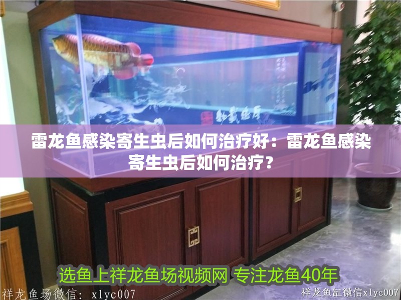 雷龍魚感染寄生蟲后如何治療好：雷龍魚感染寄生蟲后如何治療？