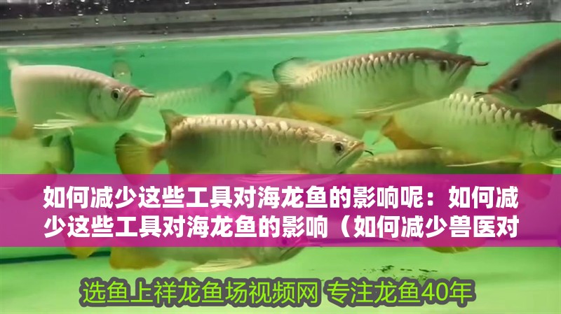 如何減少這些工具對海龍魚的影響呢：如何減少這些工具對海龍魚的影響（如何減少獸醫對海龍魚的影響）