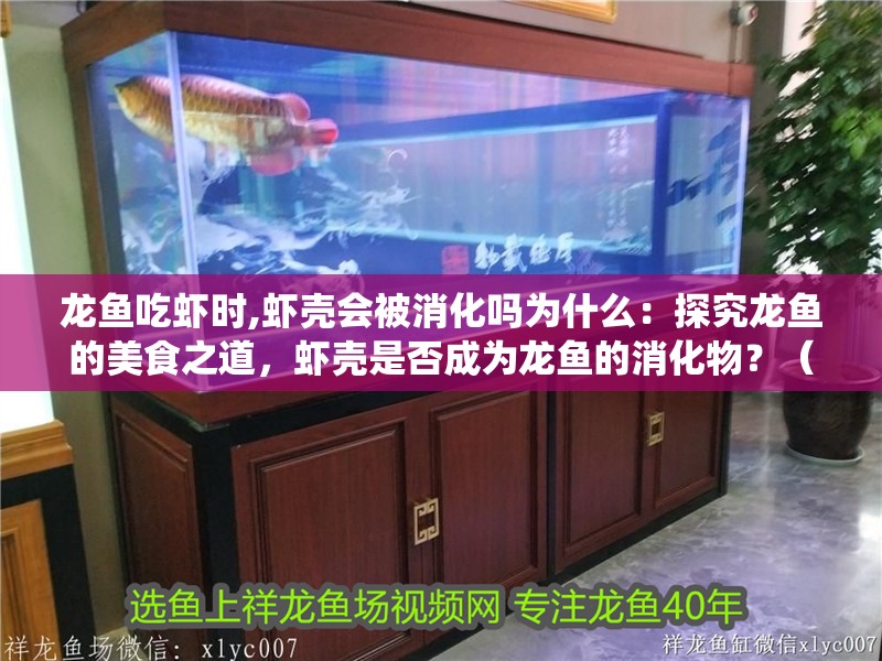 龍魚吃蝦時,蝦殼會被消化嗎為什么：探究龍魚的美食之道，蝦殼是否成為龍魚的消化物？（當龍魚吃蝦時，蝦殼是否會被消化系統造成負擔）