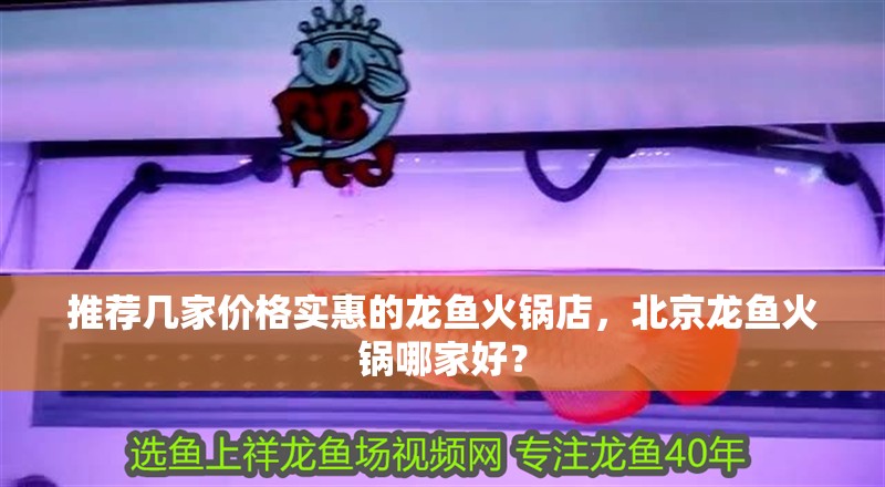 推薦幾家價格實惠的龍魚火鍋店，北京龍魚火鍋哪家好？ 推薦幾家價格實惠的龍魚火鍋店，北京龍魚火鍋哪家好？ 龍魚百科