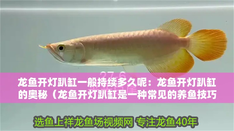 龍魚開燈趴缸一般持續多久呢：龍魚開燈趴缸的奧秘（龍魚開燈趴缸是一種常見的養魚技巧，開燈趴缸的養護）