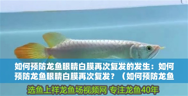 如何預(yù)防龍魚眼睛白膜再次復(fù)發(fā)的發(fā)生：如何預(yù)防龍魚眼睛白膜再次復(fù)發(fā)？（如何預(yù)防龍魚的眼睛白膜再次復(fù)發(fā)）