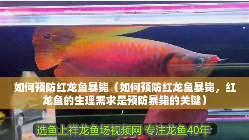 如何預防紅龍魚暴斃（如何預防紅龍魚暴斃，紅龍魚的生理需求是預防暴斃的關鍵）