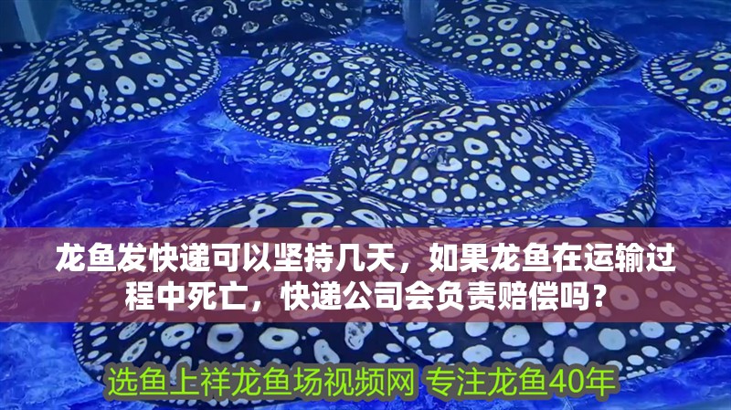 龍魚發快遞可以堅持幾天，如果龍魚在運輸過程中死亡，快遞公司會負責賠償嗎？ 龍魚發快遞可以堅持幾天，如果龍魚在運輸過程中死亡，快遞公司會負責賠償嗎？ 觀賞魚百科