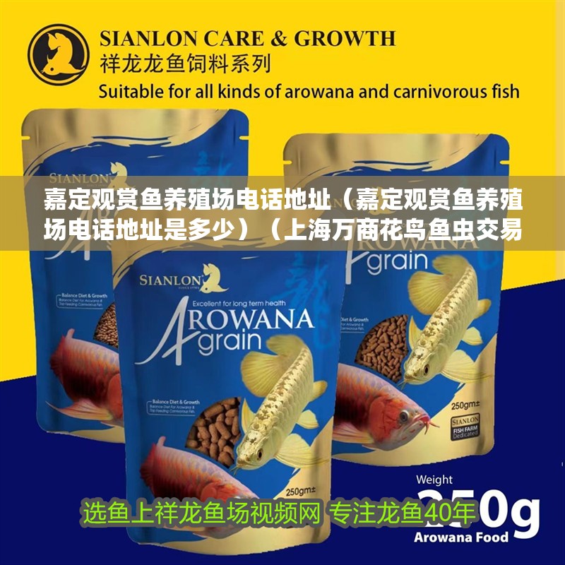 嘉定觀賞魚養(yǎng)殖場電話地址（嘉定觀賞魚養(yǎng)殖場電話地址是多少）（上海萬商花鳥魚蟲交易市場觀賞魚70%市場）