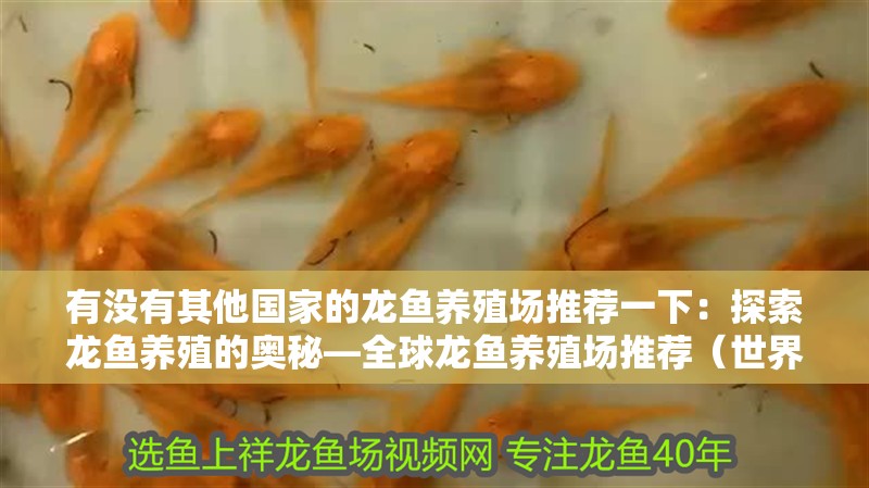有沒有其他國家的龍魚養殖場推薦一下：探索龍魚養殖的奧秘—全球龍魚養殖場推薦（世界各地的龍魚養殖場）