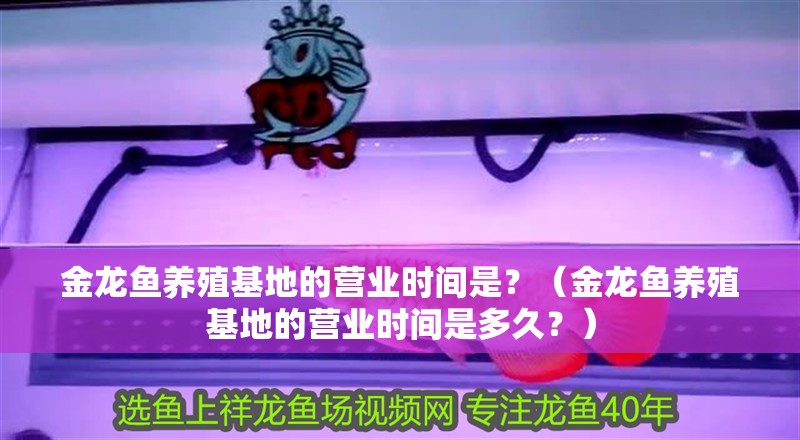 金龍魚養殖基地的營業時間是？（金龍魚養殖基地的營業時間是多久？）
