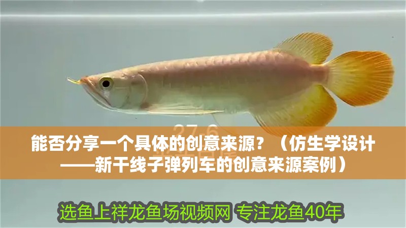 能否分享一個(gè)具體的創(chuàng)意來源？（仿生學(xué)設(shè)計(jì)——新干線子彈列車的創(chuàng)意來源案例）