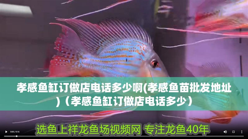 <strong><mark>孝感</mark></strong>魚缸訂做店電話多少啊(<strong><mark>孝感</mark></strong>魚苗批發地址)（<strong><mark>孝感</mark></strong>魚缸訂做店電話多少）