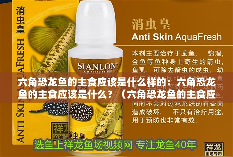 六角恐龍魚的主食應該是什么樣的：六角恐龍魚的主食應該是什么？（六角恐龍魚的主食應該是什么，）