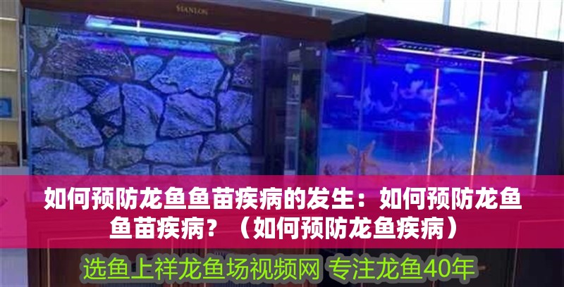 如何預(yù)防龍魚魚苗疾病的發(fā)生：如何預(yù)防龍魚魚苗疾病？（如何預(yù)防龍魚疾病）
