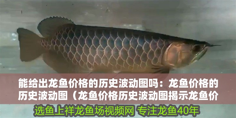 能給出龍魚價格的歷史波動圖嗎：龍魚價格的歷史波動圖（龍魚價格歷史波動圖揭示龍魚價格歷史波動圖的原因）