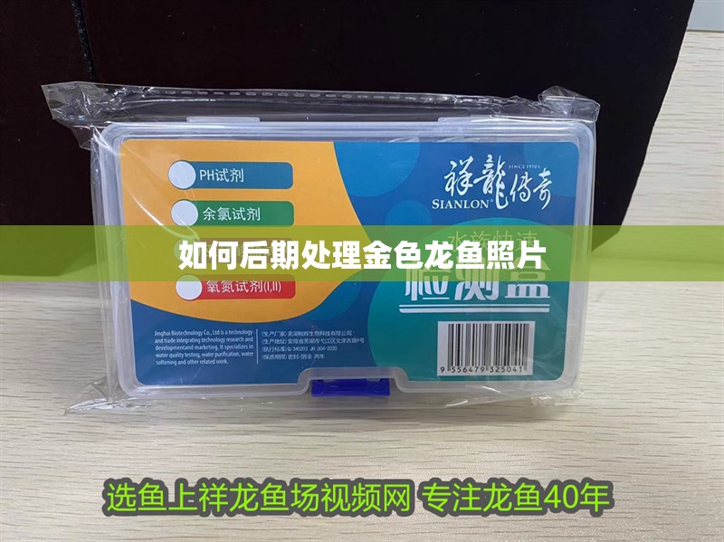 如何后期處理金色龍魚照片