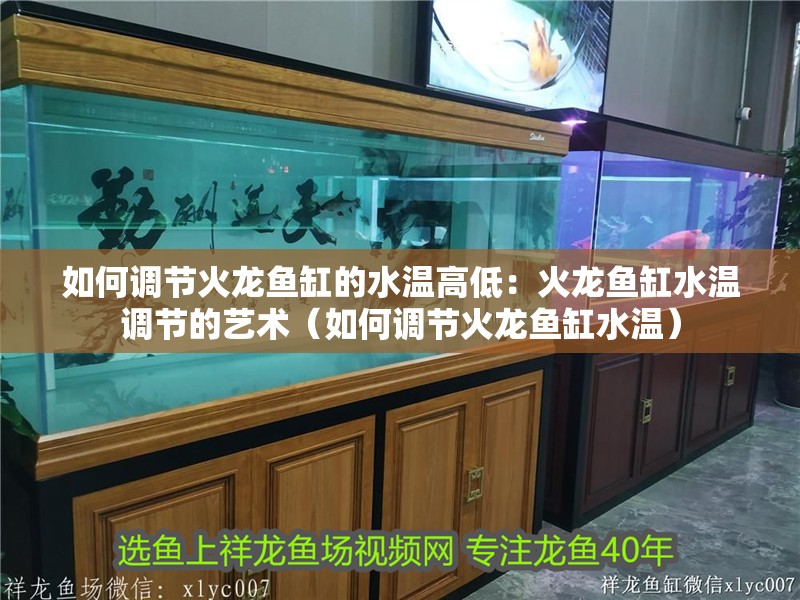 如何調節(jié)火龍魚缸的水溫高低：火龍魚缸水溫調節(jié)的藝術（如何調節(jié)火龍魚缸水溫）