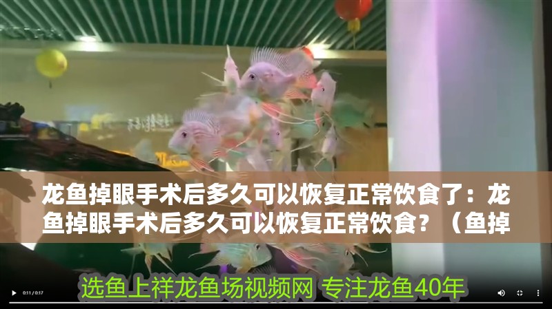 龍魚掉眼手術后多久可以恢復正常飲食了：龍魚掉眼手術后多久可以恢復正常飲食？（魚掉眼手術后多久可以恢復正常飲食）