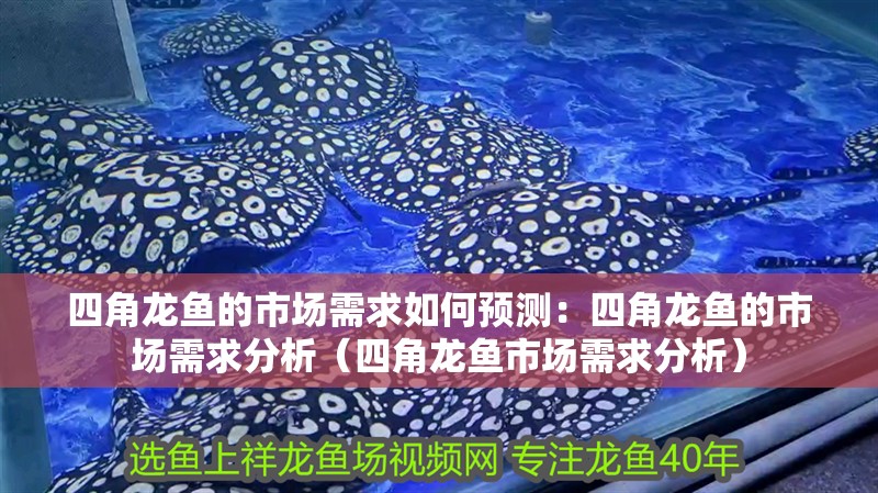 四角龍魚的市場需求如何預測：四角龍魚的市場需求分析（四角龍魚市場需求分析）