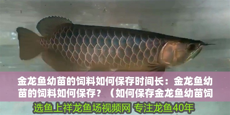 金龍魚幼苗的飼料如何保存時間長：金龍魚幼苗的飼料如何保存？（如何保存金龍魚幼苗飼料）