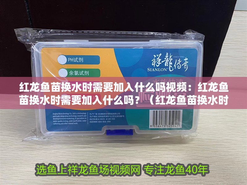 紅龍魚苗換水時需要加入什么嗎視頻：紅龍魚苗換水時需要加入什么嗎？（紅龍魚苗換水時需要加入什么）