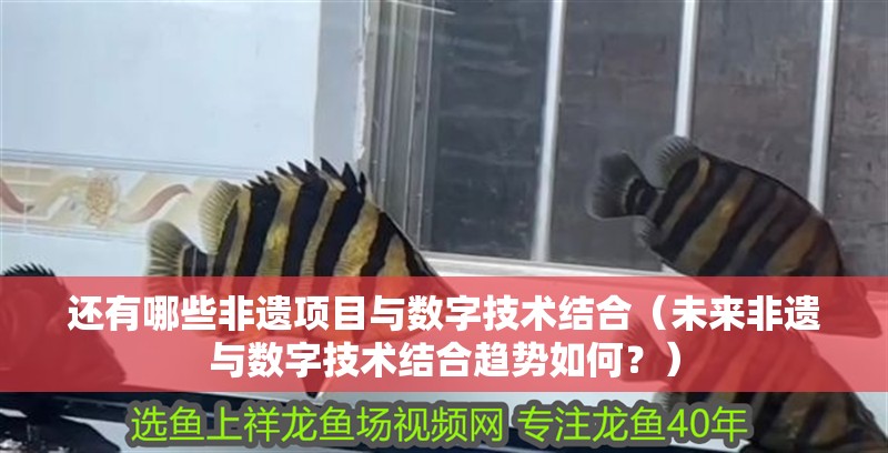 還有哪些非遺項(xiàng)目與數(shù)字技術(shù)結(jié)合（未來非遺與數(shù)字技術(shù)結(jié)合趨勢(shì)如何？）