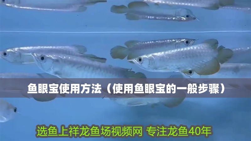 魚眼寶使用方法（使用魚眼寶的一般步驟）