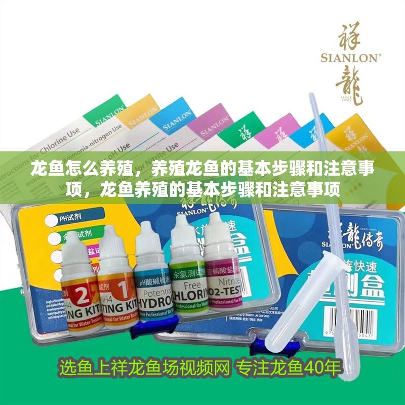 龍魚怎么養殖，養殖龍魚的基本步驟和注意事項，龍魚養殖的基本步驟和注意事項