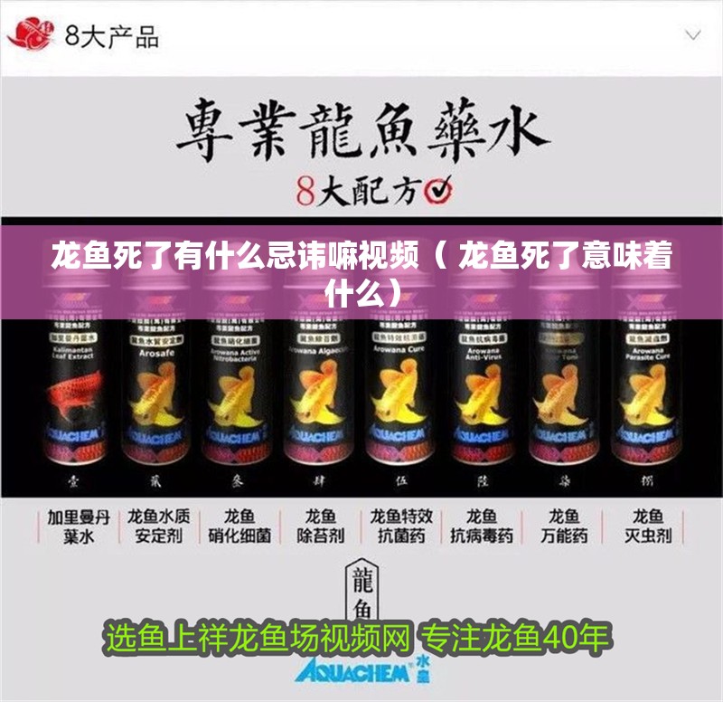 龍魚(yú)死了有什么忌諱嘛視頻（ 龍魚(yú)死了意味著什么）