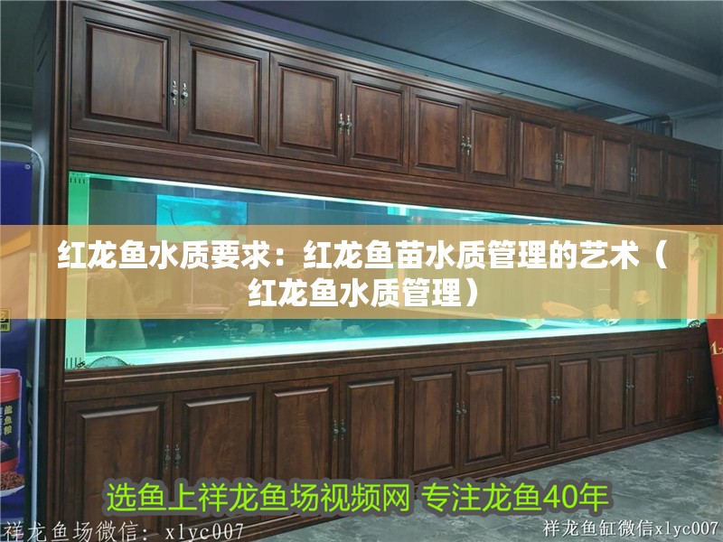 紅龍魚水質要求：紅龍魚苗水質管理的藝術（紅龍魚水質管理）