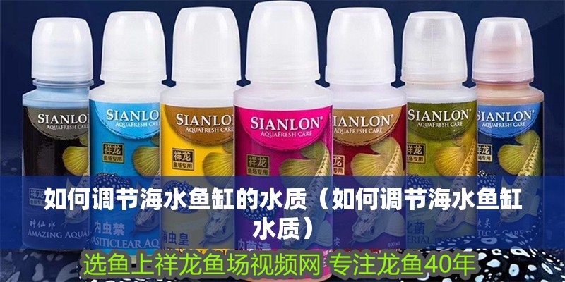 如何調節海水魚缸的水質（如何調節海水魚缸水質）